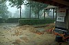 044 Kleines Unwetter, aber die Frisur sitzt.jpg 044 Kleines Unwetter, aber die Frisur sitzt.jpg