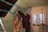 079_2 Aufhaengen braucht alle Kraefte.jpg 079_2 Aufhaengen braucht alle Kraefte.jpg